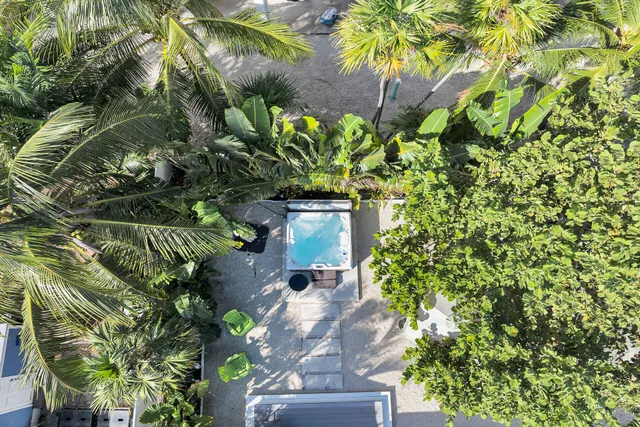 a plant that is in front of the tree