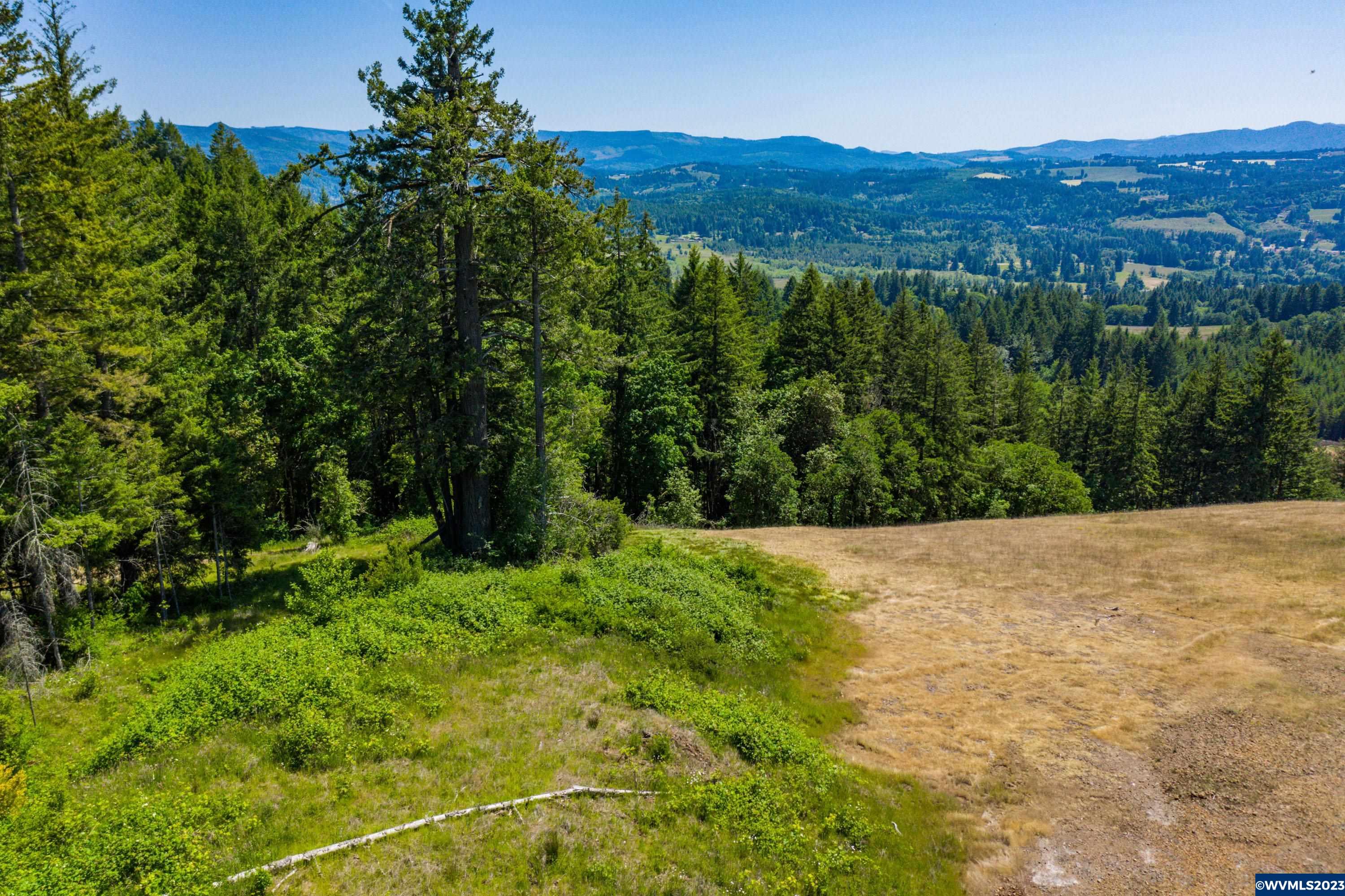Marks Ridge Sweet Home, OR 97386 - Photo 19 of 32