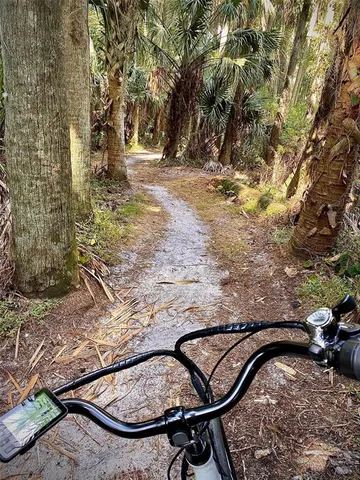 a view of a bench in backyard