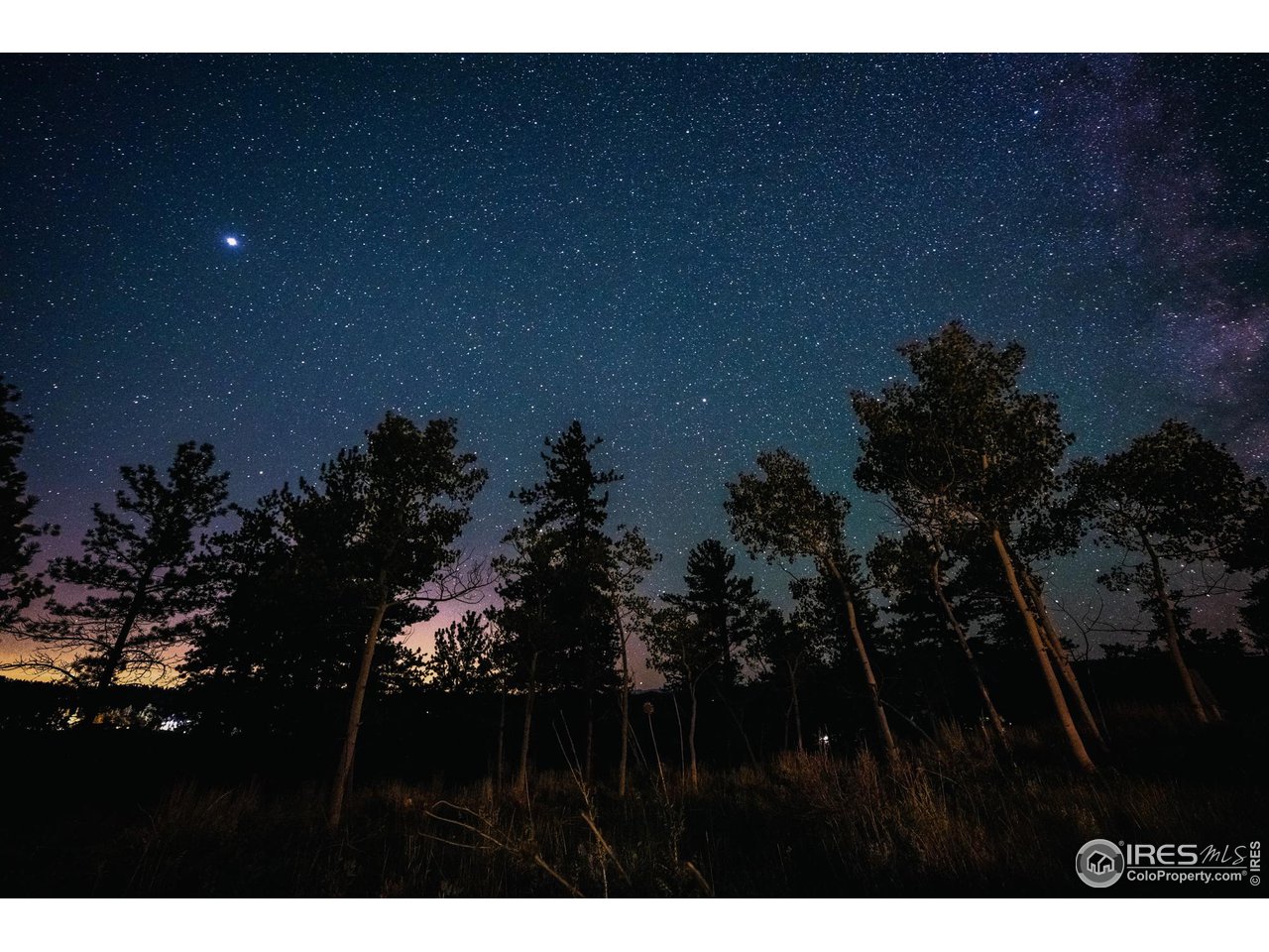 256 Swift Deer Road Red Feather Lakes, CO 80545 - Photo 4 of 26 Clear uninterrupted stars!