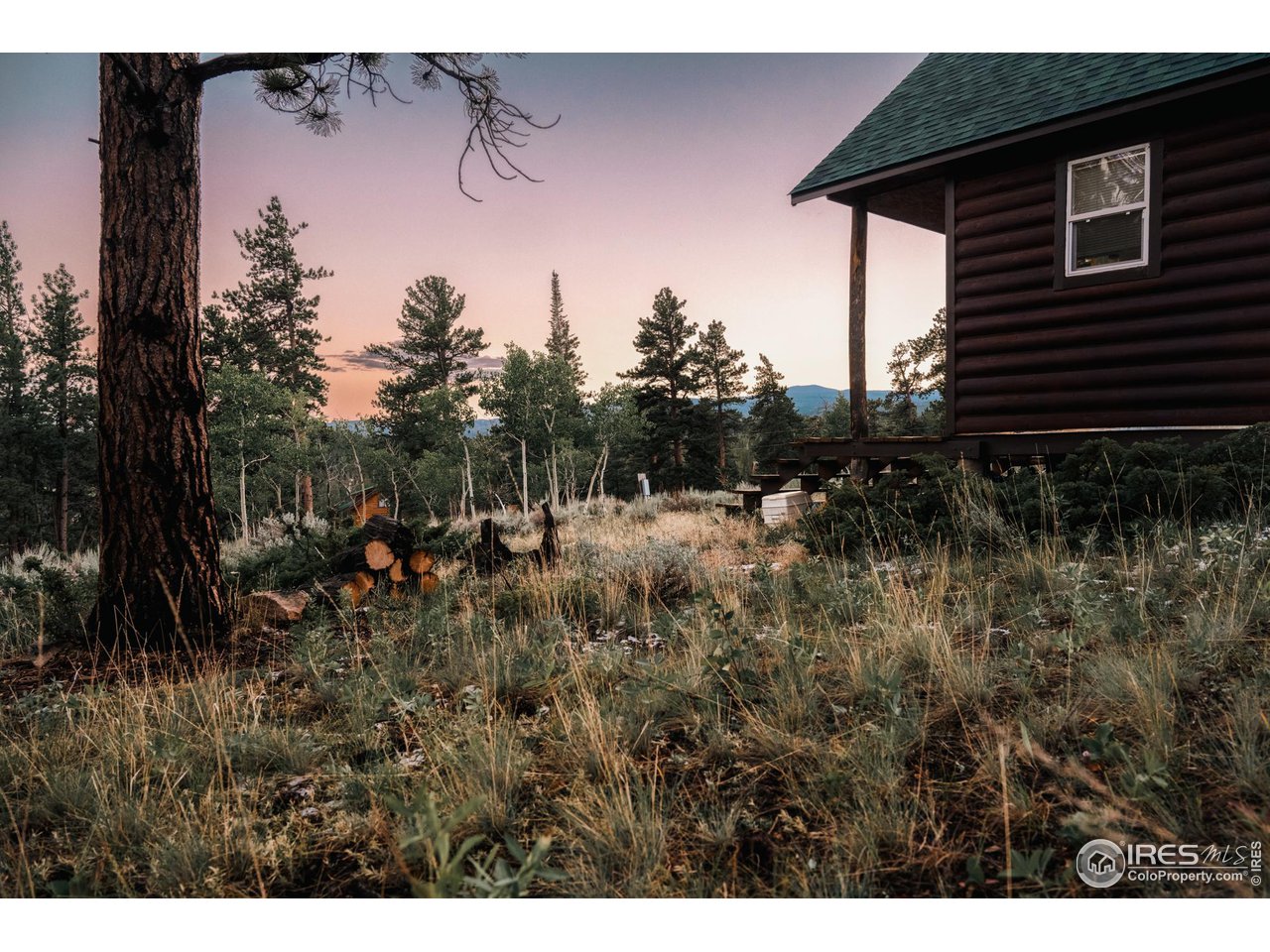 256 Swift Deer Road Red Feather Lakes, CO 80545 - Photo 6 of 26 Shed and Sky