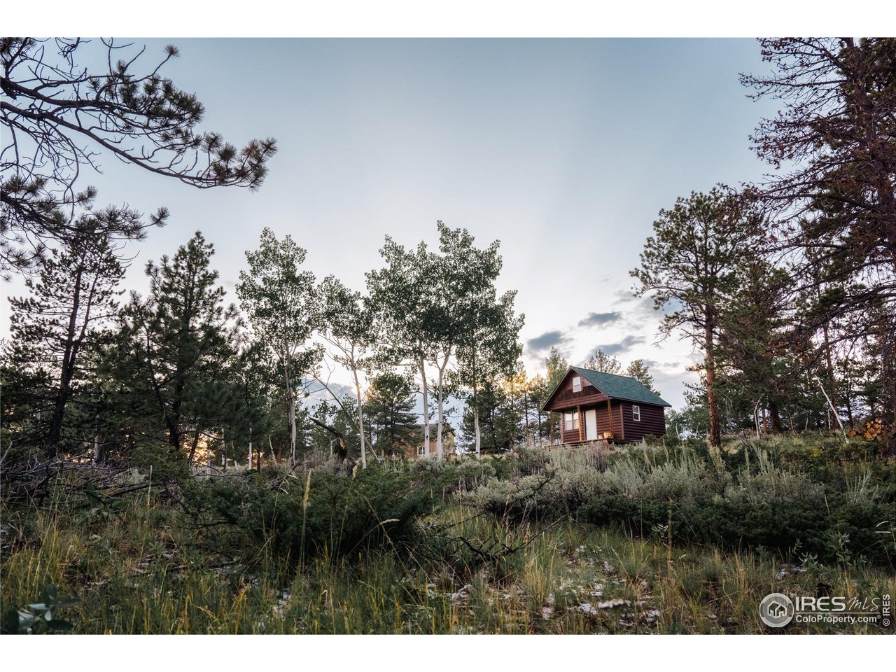 256 Swift Deer Road Red Feather Lakes, CO 80545 - Photo 8 of 26 Shed in the aspens