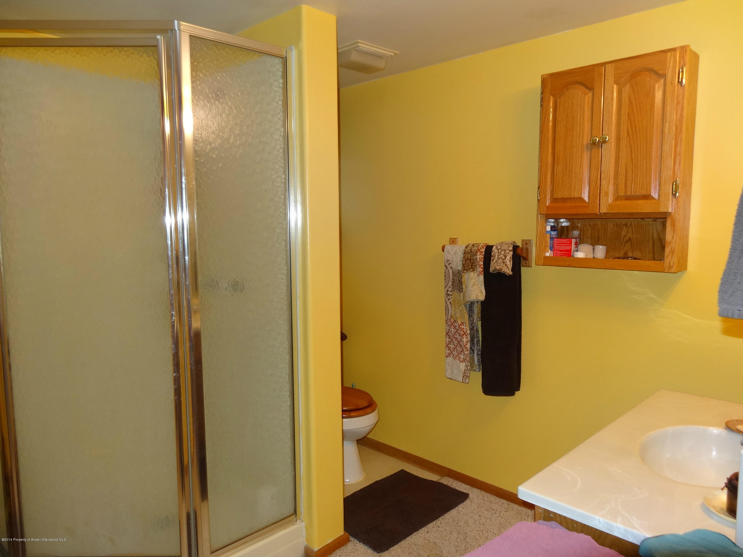 624 Ginseng Road New Castle, CO 81647 - Photo 12 of 16 down stairs bathroom
