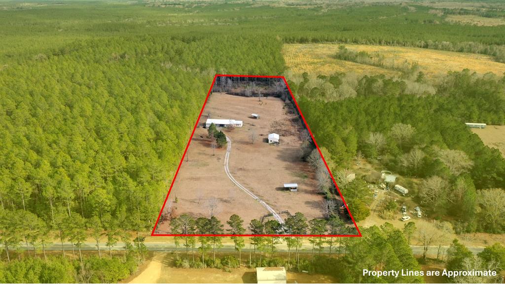 3662 Glen Chambers Road Florala, AL 36442 - Photo 1 of 48 Main View