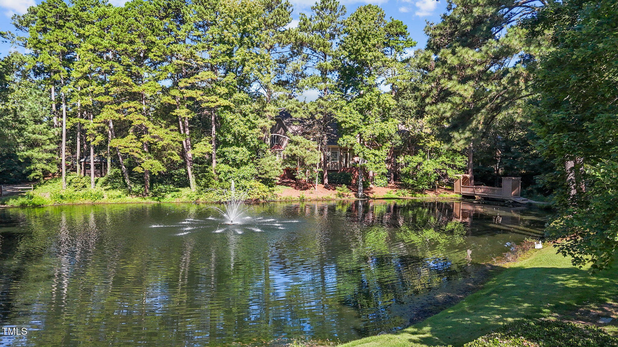 206 Nouveau Avenue Raleigh, NC 27615 - Photo 54 of 61 54-web-or-mls-DJI_20250829101438_0881_D