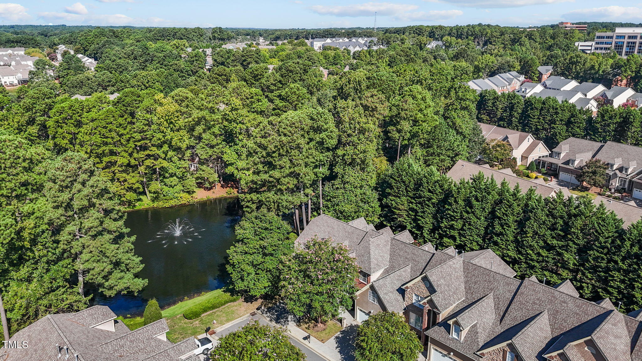 206 Nouveau Avenue Raleigh, NC 27615 - Photo 56 of 61 an aerial view of a house with a yard