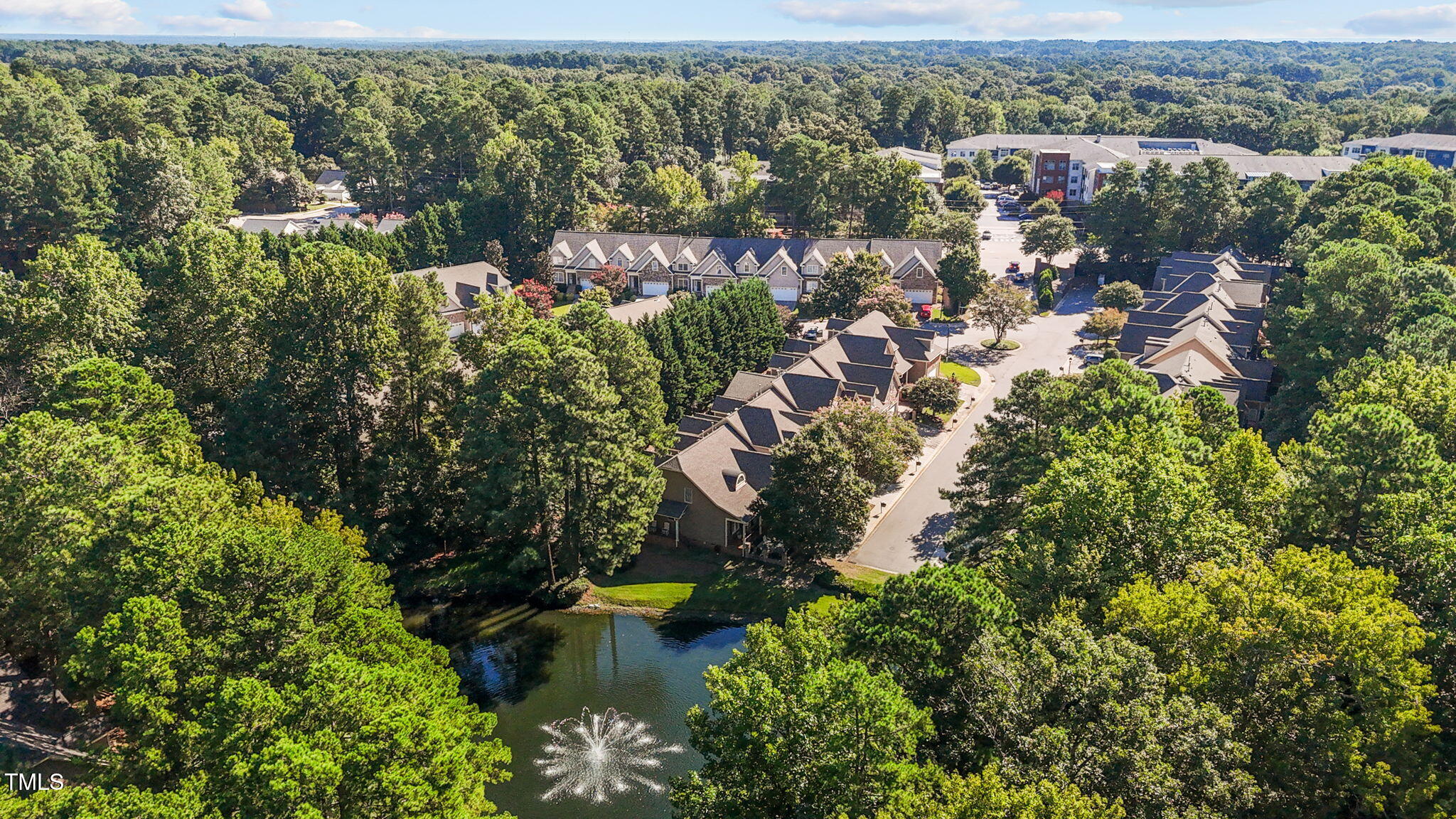 206 Nouveau Avenue Raleigh, NC 27615 - Photo 58 of 61 an aerial view of residential houses with outdoor space and trees