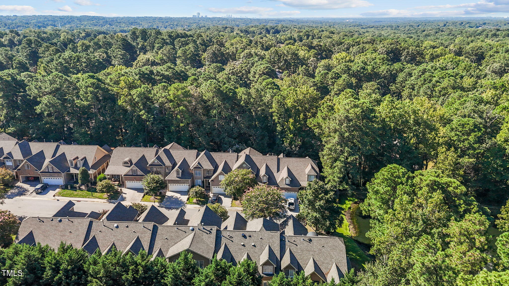 206 Nouveau Avenue Raleigh, NC 27615 - Photo 60 of 61 an aerial view of houses with yard
