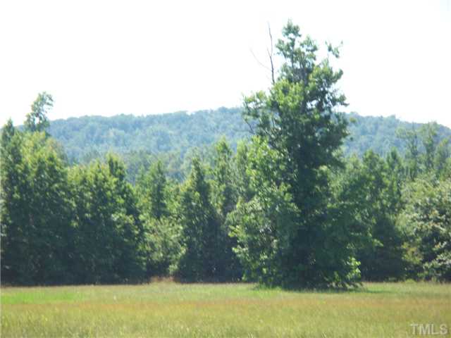 4037 Culbreth Road Stem, NC 27581 - Photo 12 of 12