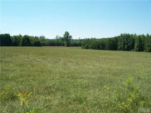 4037 Culbreth Road Stem, NC 27581 - Photo 9 of 12