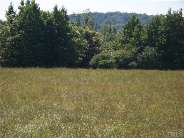 4037 Culbreth Road Stem, NC 27581 - Photo 10 of 12