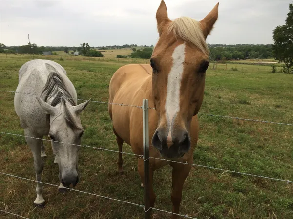 $775,000 | 1127 County Road 241, Anderson, TX 77830