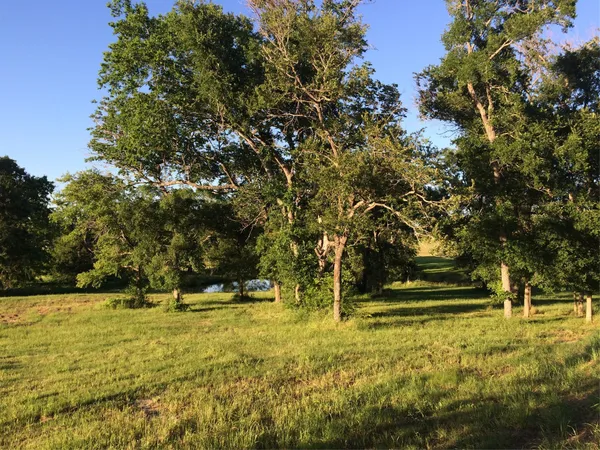 $775,000 | 1127 County Road 241, Anderson, TX 77830