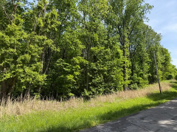 a view of a lush green field