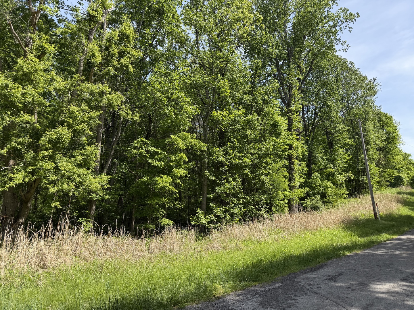 0 Tower Rock Road Elizabethtown, IL 62931 - Photo 4 of 7 a view of a lush green field