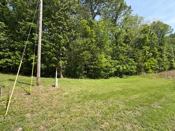 a view of a field with a tree in a park