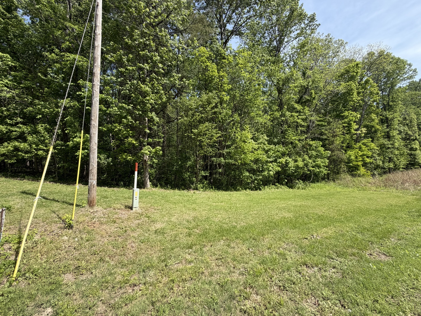 0 Tower Rock Road Elizabethtown, IL 62931 - Photo 6 of 7 a view of a field with a tree in a park