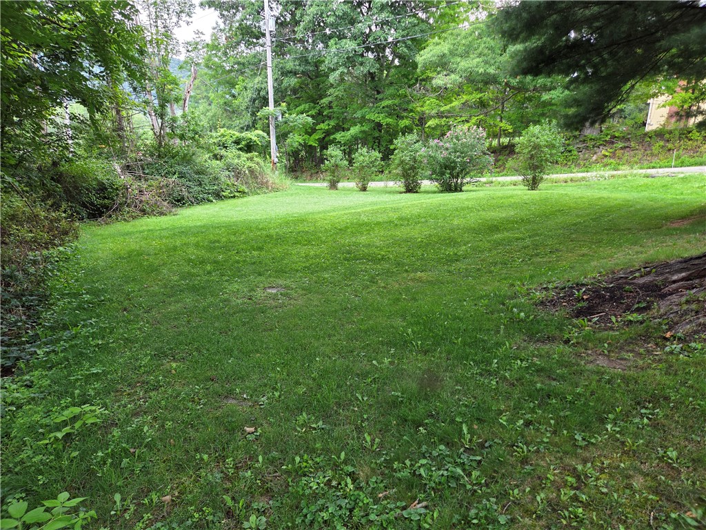 266 Rogers Road Ashland, NY 14894 - Photo 4 of 46 Gallery Image 4