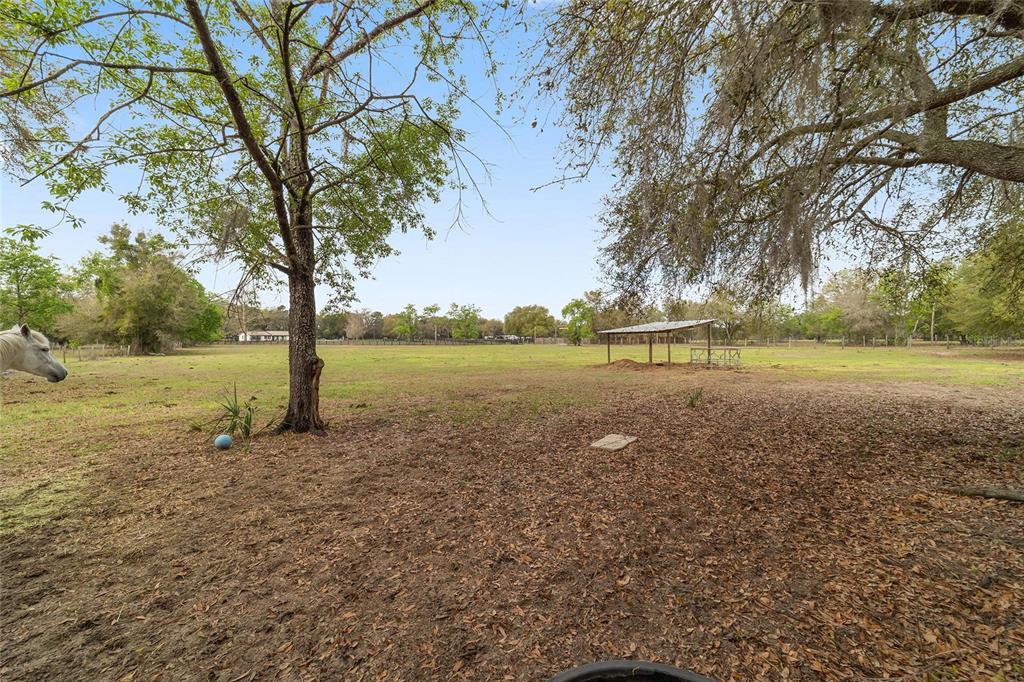 12620 Southeast Maricamp Road Ocklawaha, FL 32179 - Photo 50 of 62