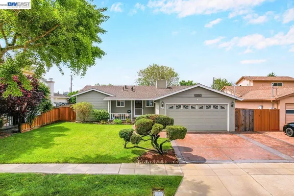 a front view of a house with a garden and a tree