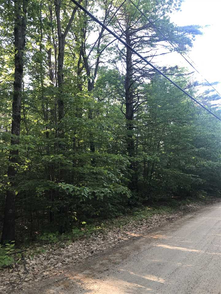 Lot 15 Wyman Point Road East Wakefield, NH 03830 - Photo 2 of 6