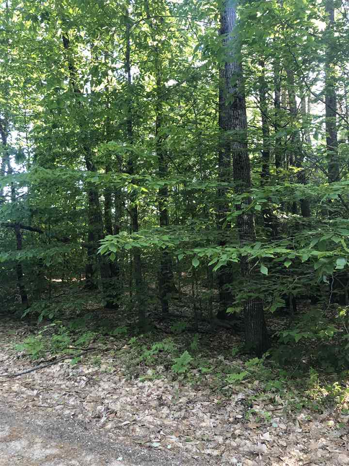 Lot 15 Wyman Point Road East Wakefield, NH 03830 - Photo 3 of 6