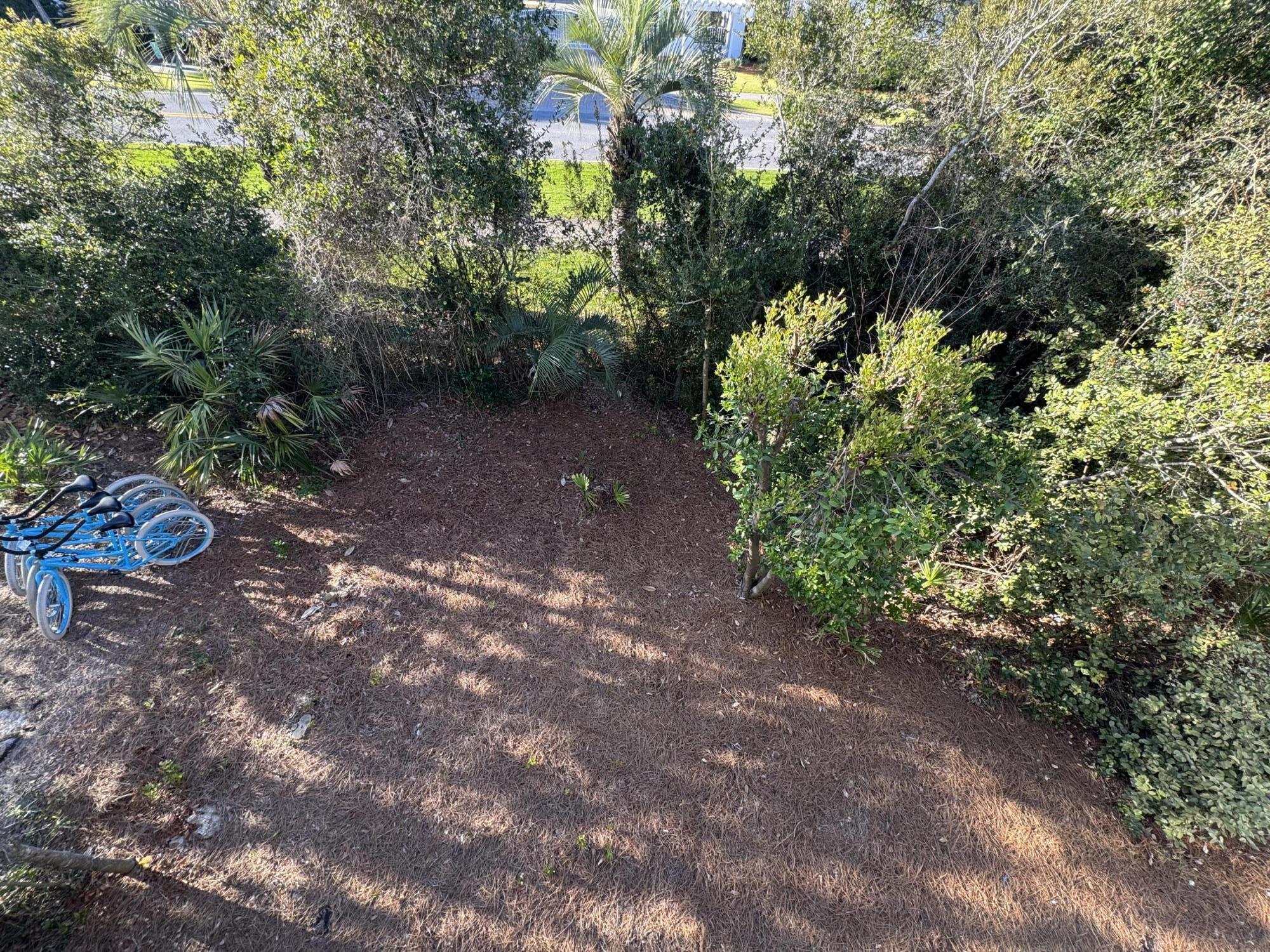 6 Trigger Trail East Inlet Beach, FL 32461 - Photo 25 of 30 Backyard off the bike path