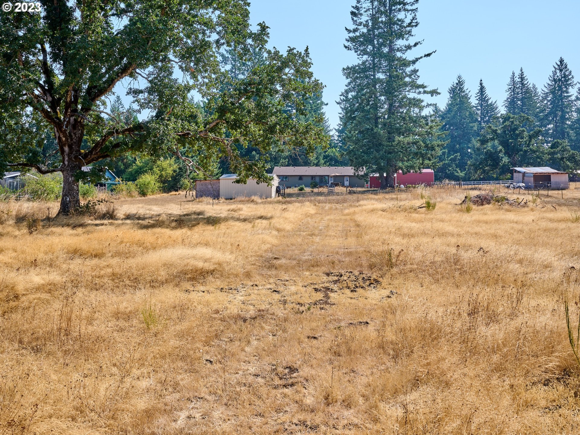 3661 Seminole Road Northeast Silverton, OR 97381 - Photo 47 of 48 a view of yard with swimming pool and trees