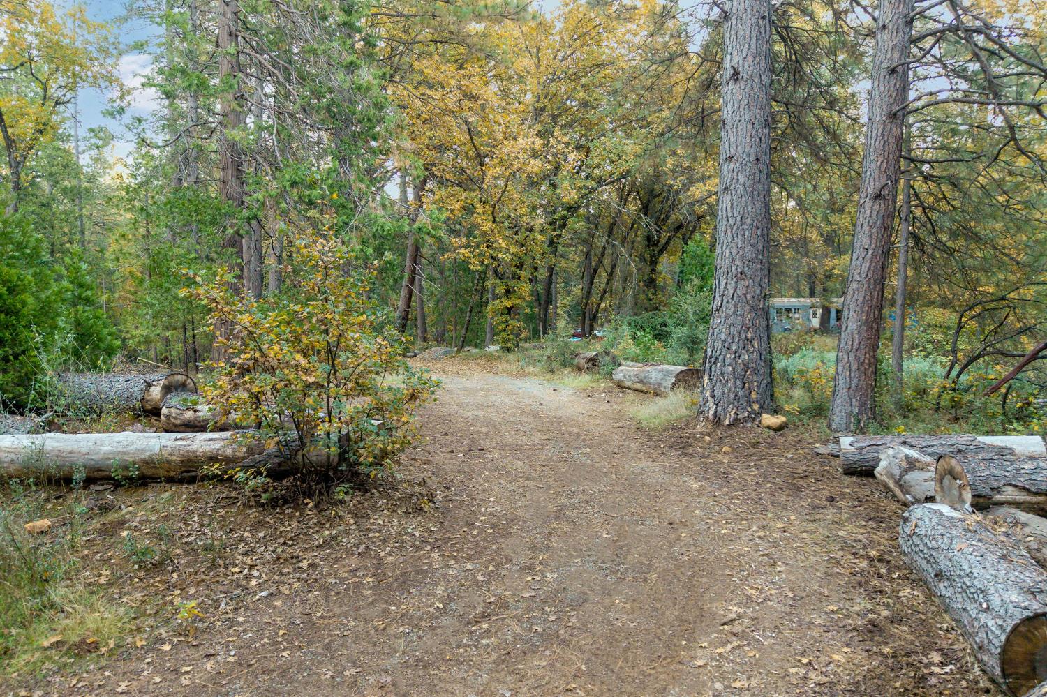 10376 Smith Road Grass Valley, CA 95949 - Photo 13 of 38