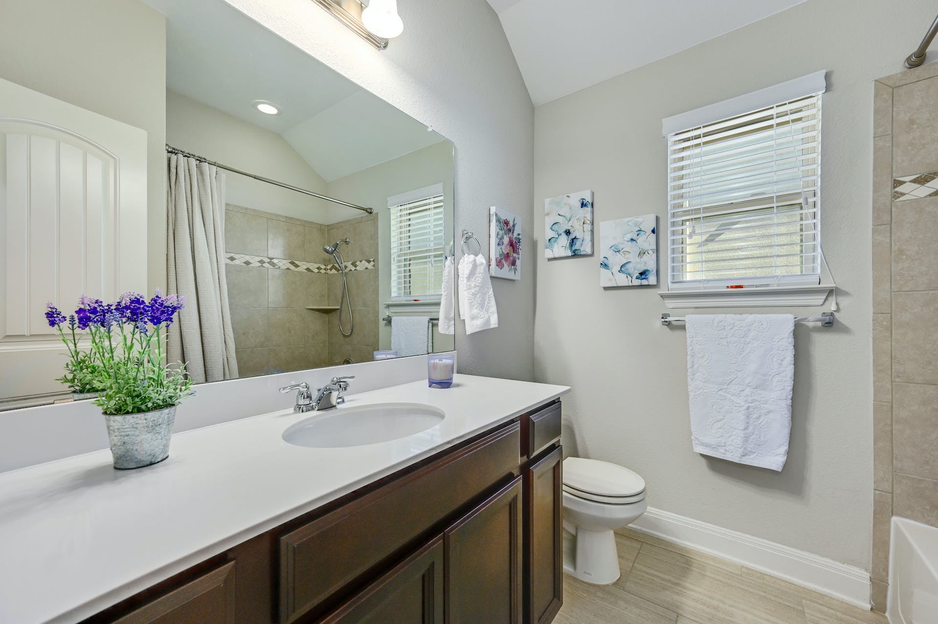 5805 Buchanan Draw Road Austin, TX 78738 - Photo 20 of 39 a bathroom with a sink a toilet and a mirror