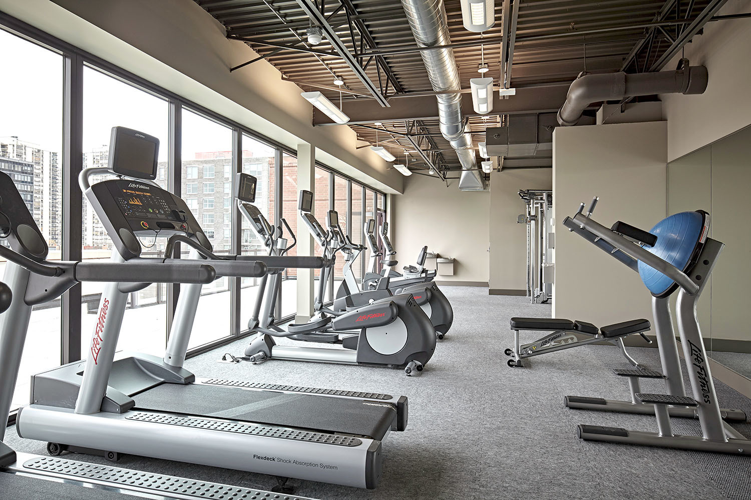 211 West Scott Street, Unit 508 Chicago, IL 60610 - Photo 21 of 22 a view of gym