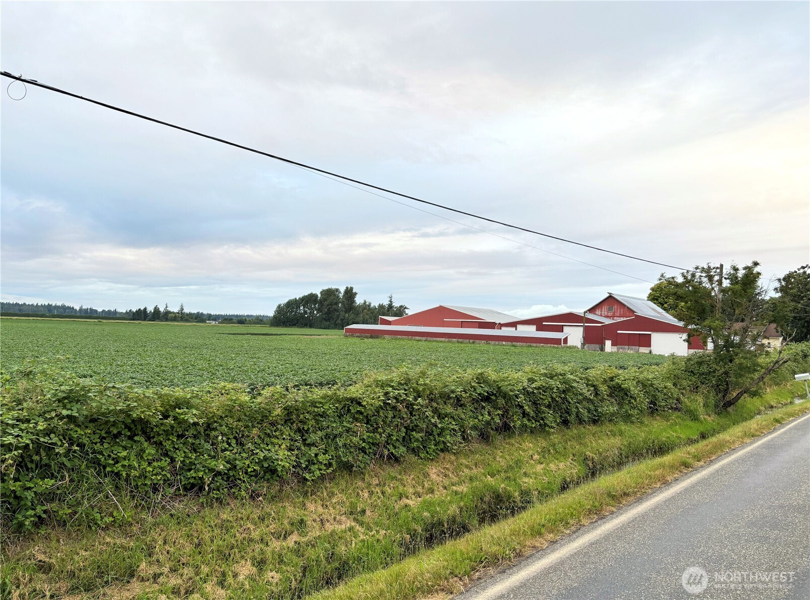 0 Double Ditch Road Lynden, WA 98264 - Photo 1 of 1 Gallery Image 1