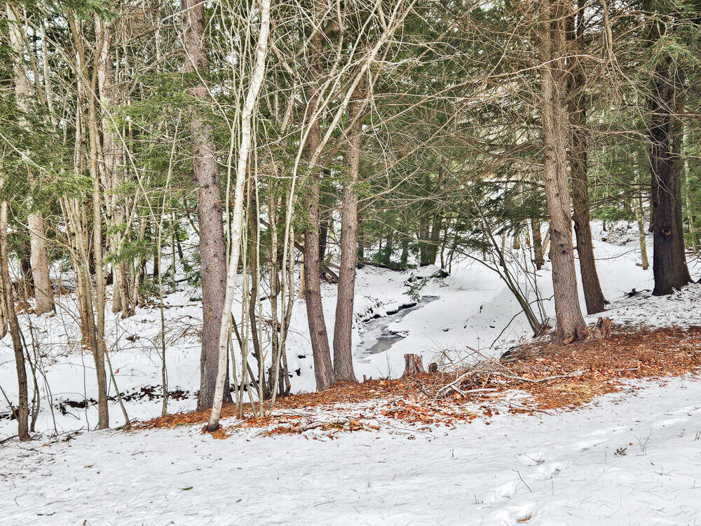 23 Paradise Row Lebanon, ME 04027 - Photo 40 of 42 23 Paradise-63