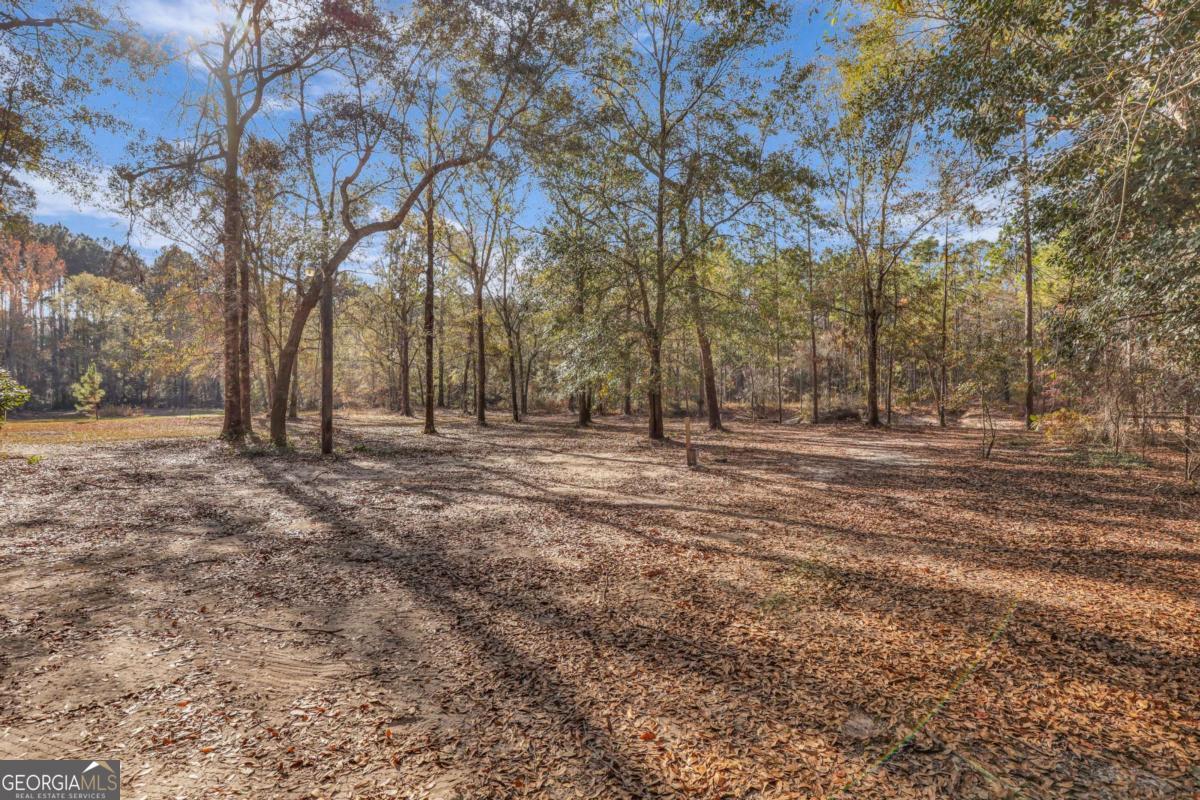 4931 Mill Branch Hunting Clb Road Pembroke, GA 31321 - Photo 50 of 71