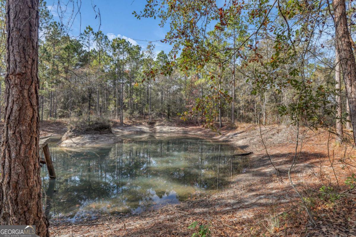 4931 Mill Branch Hunting Clb Road Pembroke, GA 31321 - Photo 55 of 71