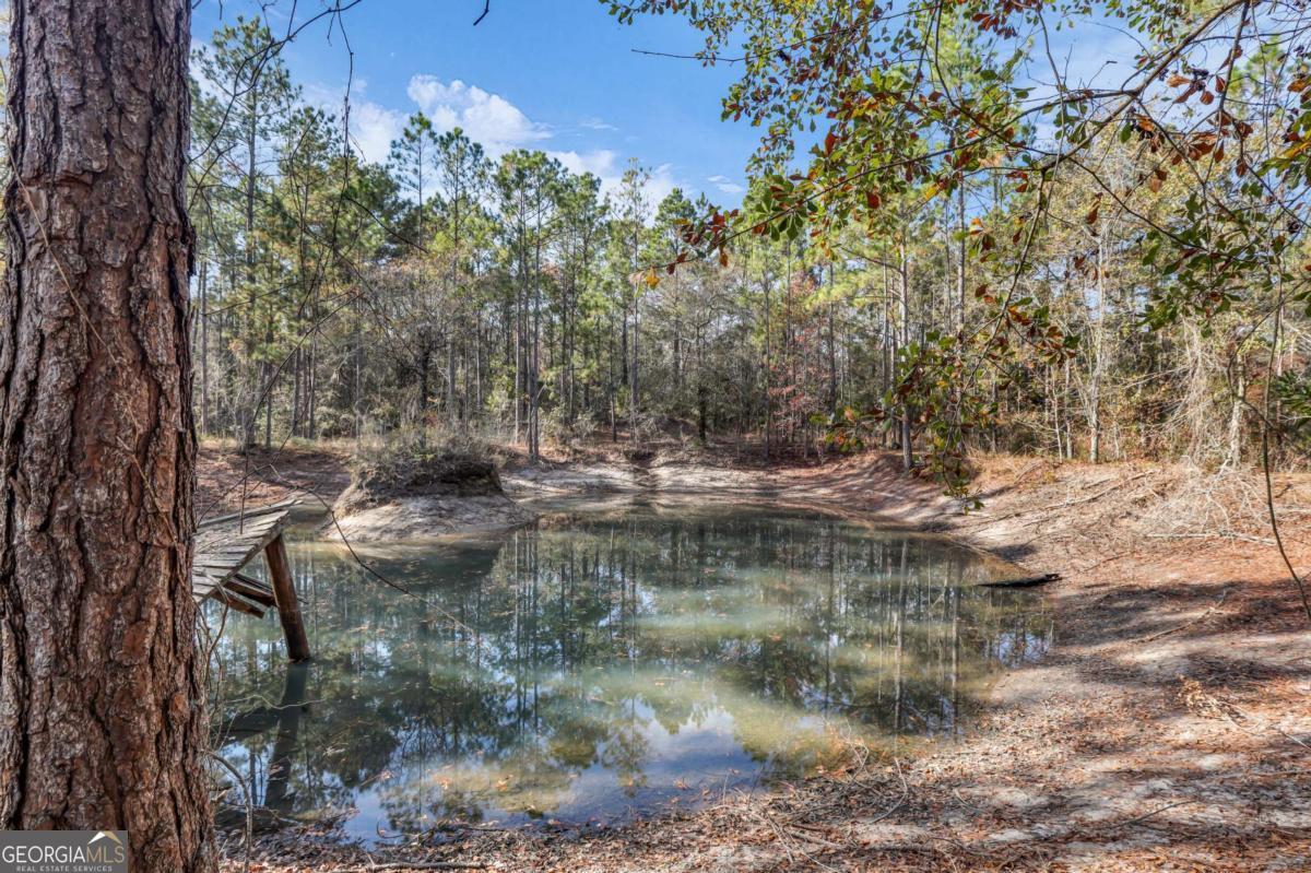 4931 Mill Branch Hunting Clb Road Pembroke, GA 31321 - Photo 56 of 71