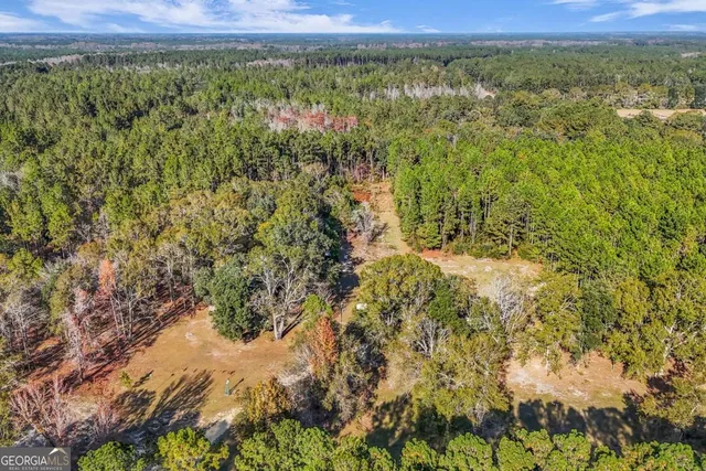 $789,900 | 4931 Mill Branch Hunting Clb Road, Pembroke, GA 31321