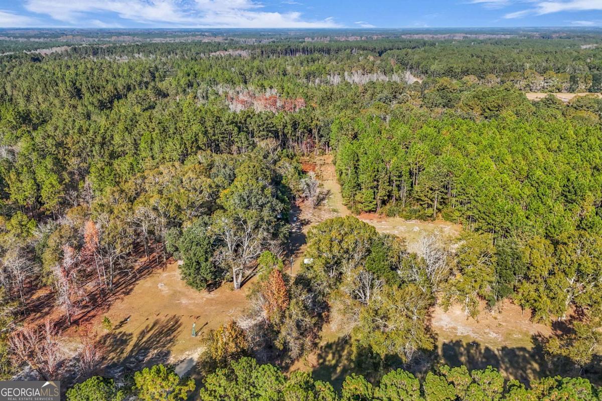 4931 Mill Branch Hunting Clb Road Pembroke, GA 31321 - Photo 58 of 71 a view of a yard with an outdoor seating and mountain view