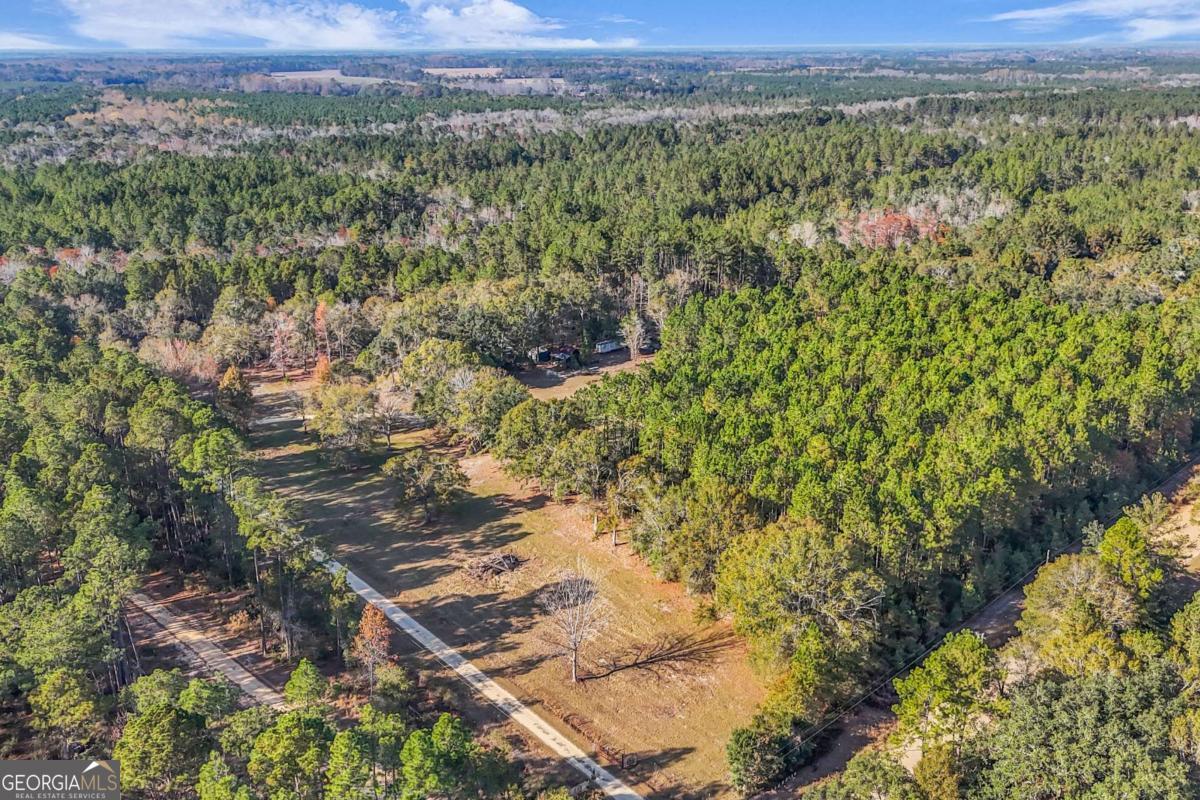 4931 Mill Branch Hunting Clb Road Pembroke, GA 31321 - Photo 59 of 71 a view of a lush green field with lots of bushes