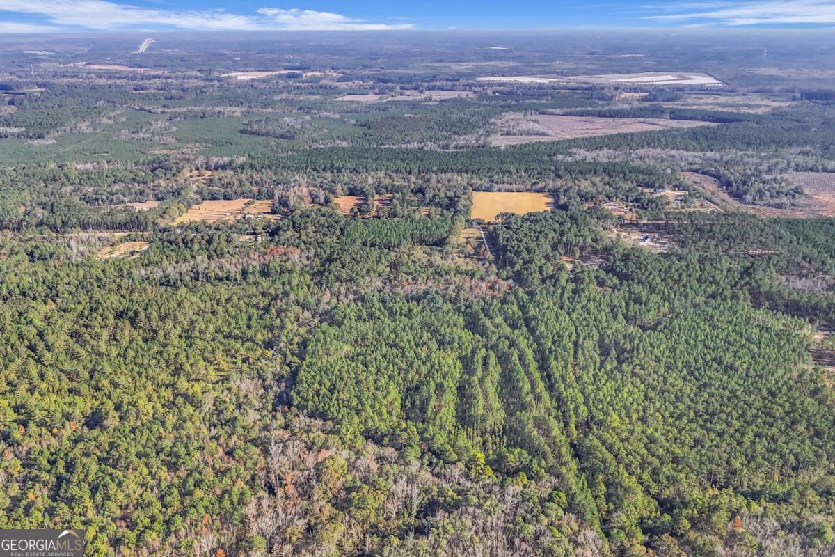 4931 Mill Branch Hunting Clb Road Pembroke, GA 31321 - Photo 60 of 71 an aerial view of residential houses with outdoor space and trees