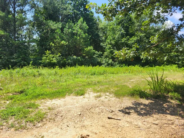 $65,000 | 0 Strawberry Gables, Holladay, TN 38341