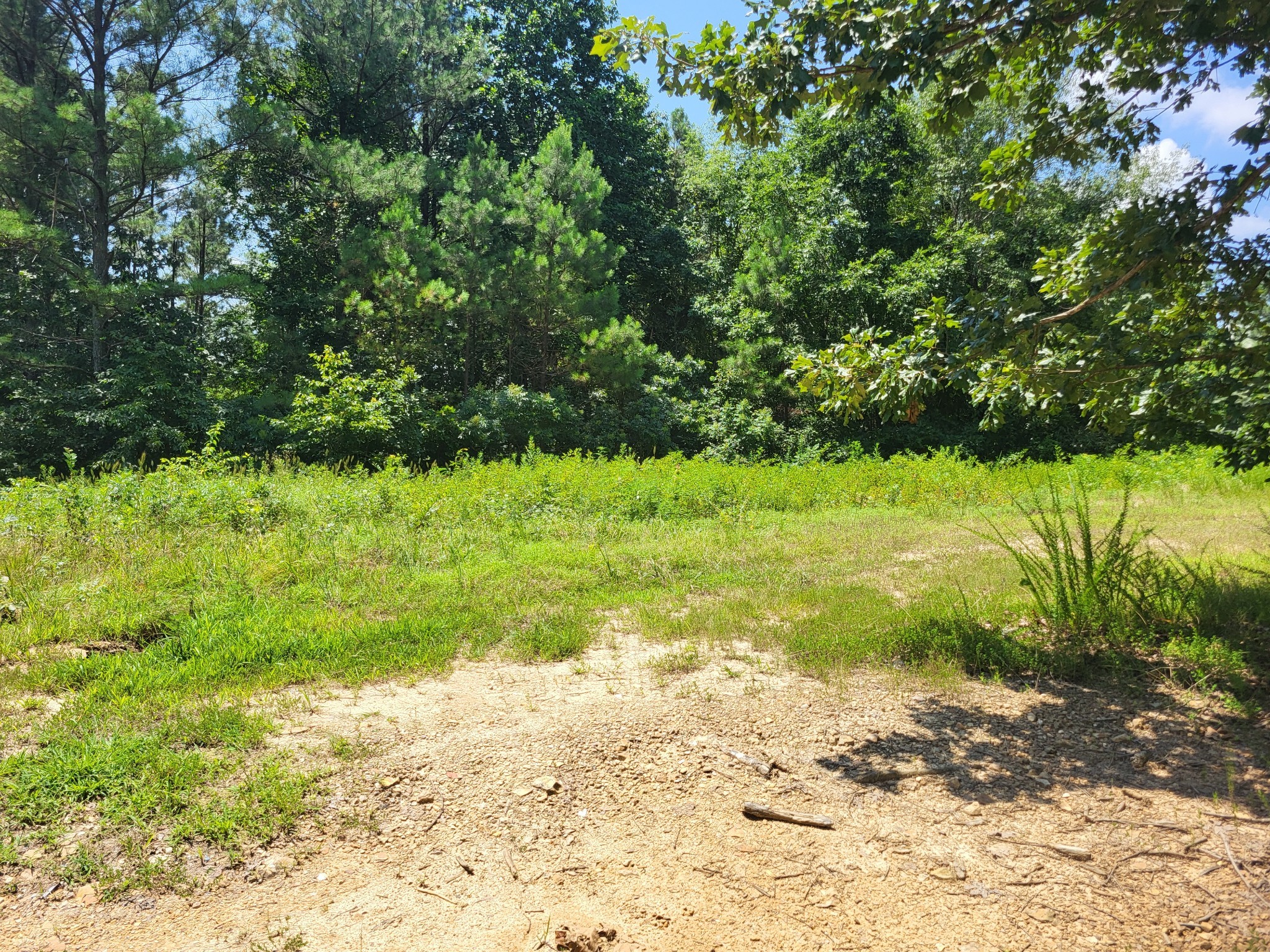 0 Strawberry Gables Holladay, TN 38341 - Photo 4 of 5