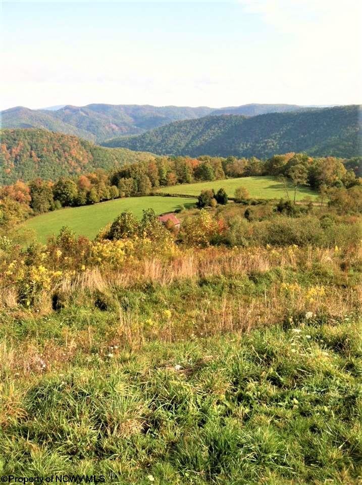 301 Scales Road Parsons, WV 26287 - Photo 11 of 13 Gallery Image 11