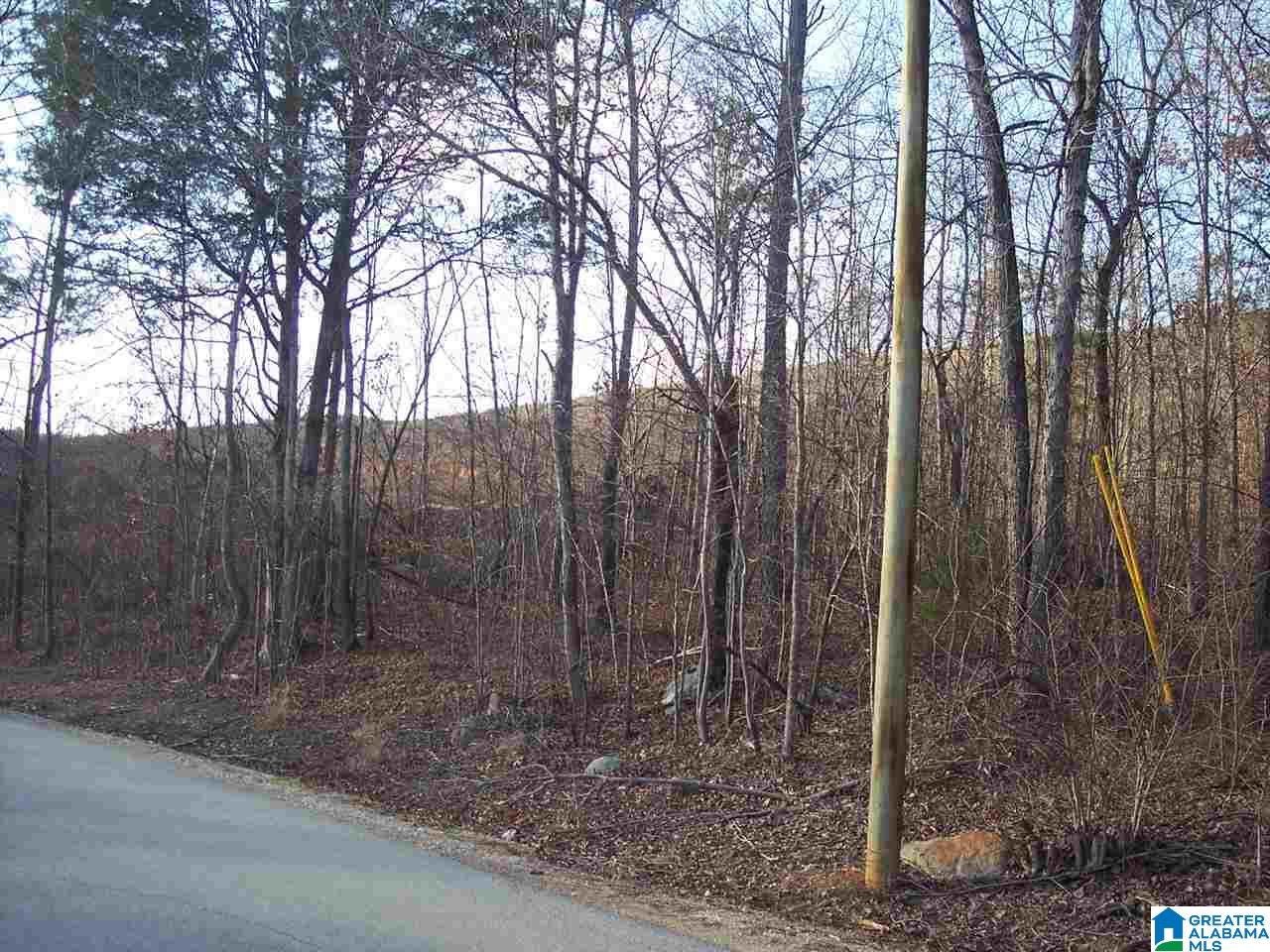1 Dripping Rock Road, Unit 1 Jacksonville, AL 36265 - Photo 1 of 4