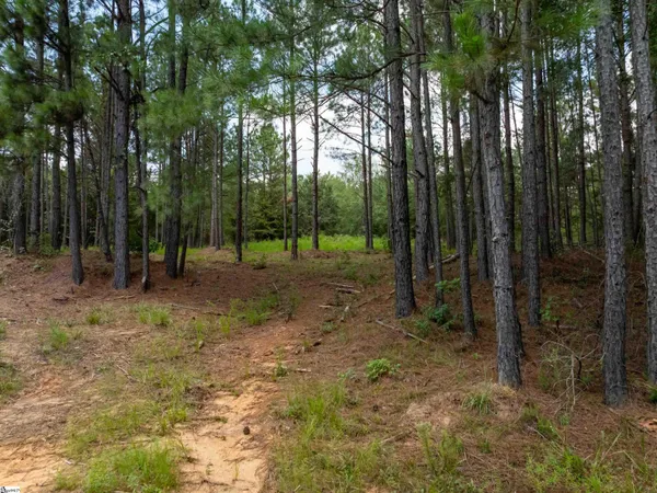$50,000 | 8 Neal Shoals Road, Union, SC 29379