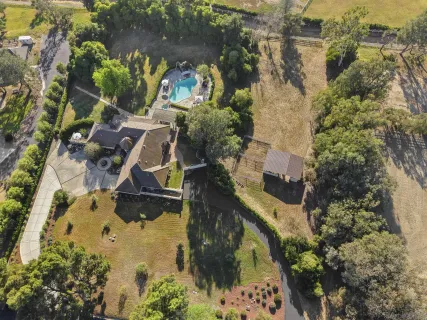 a big yard with lots of green space and plants