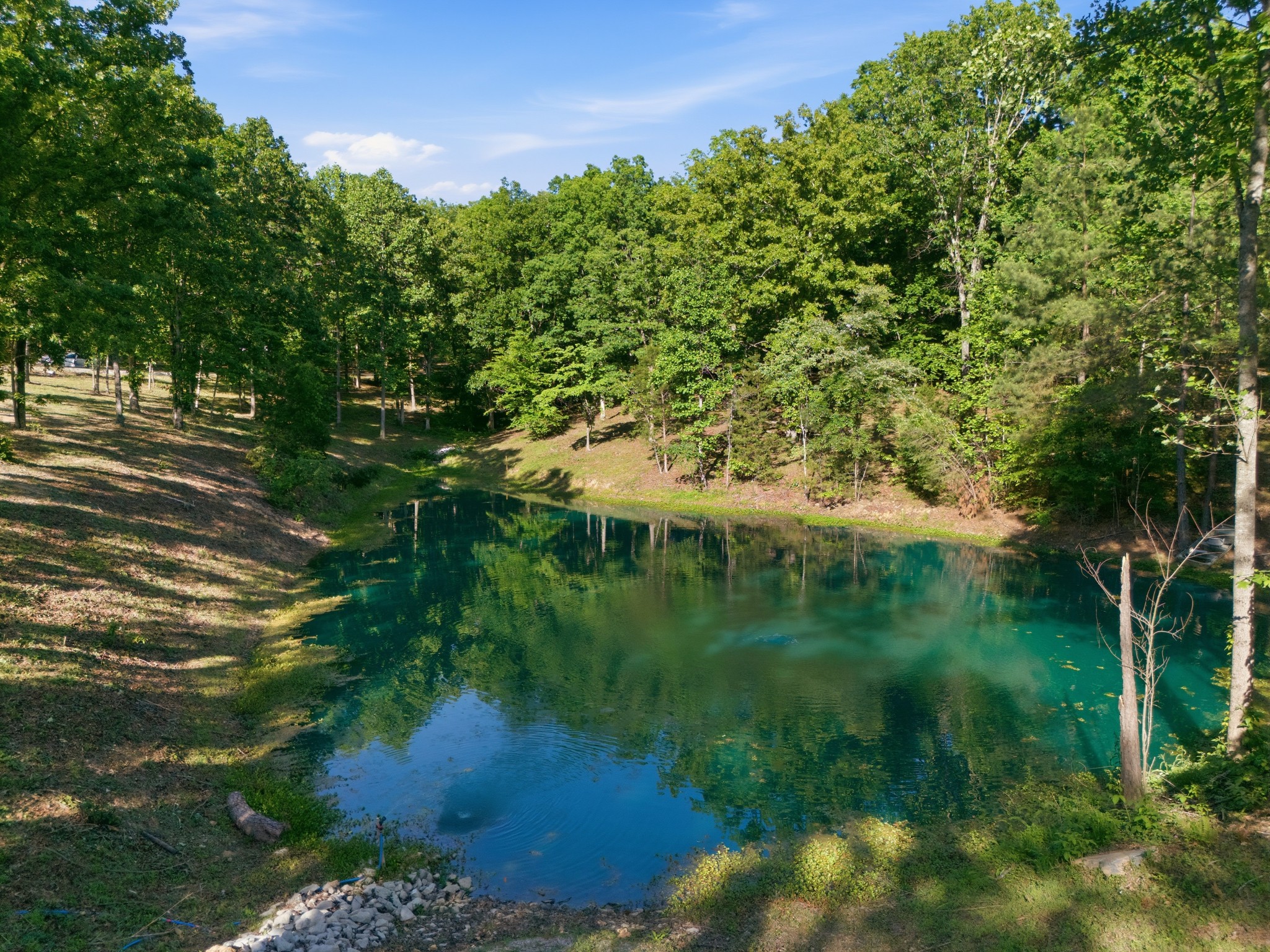 7948 Daugherty-Capley Road Primm Springs, TN 38476 - Photo 81 of 86