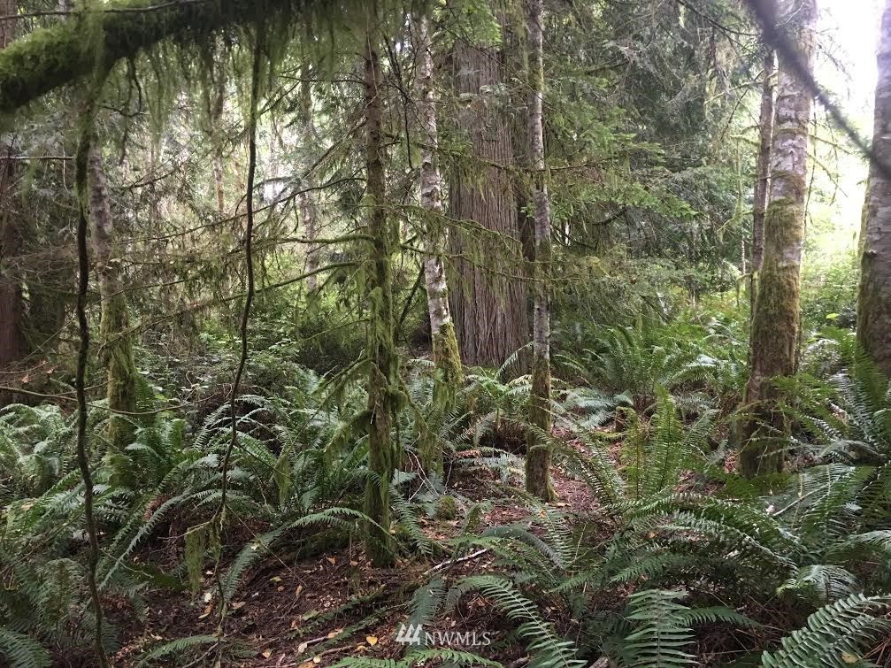 359 X East Quilcene Road Quilcene, WA 98376 - Photo 1 of 1 a view of a garden