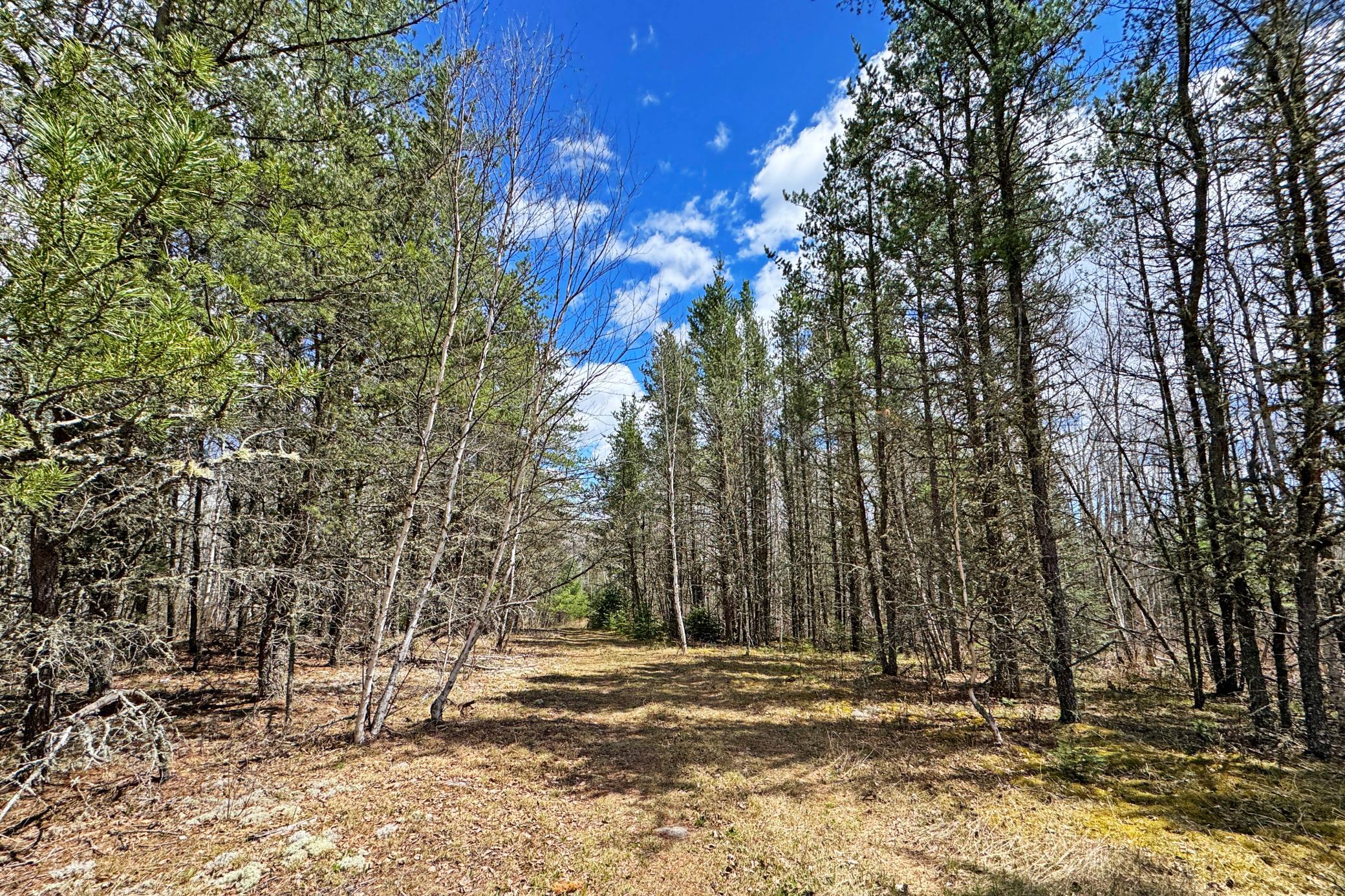 4268 Crane Lake Road Orr, MN 55771 - Photo 15 of 25