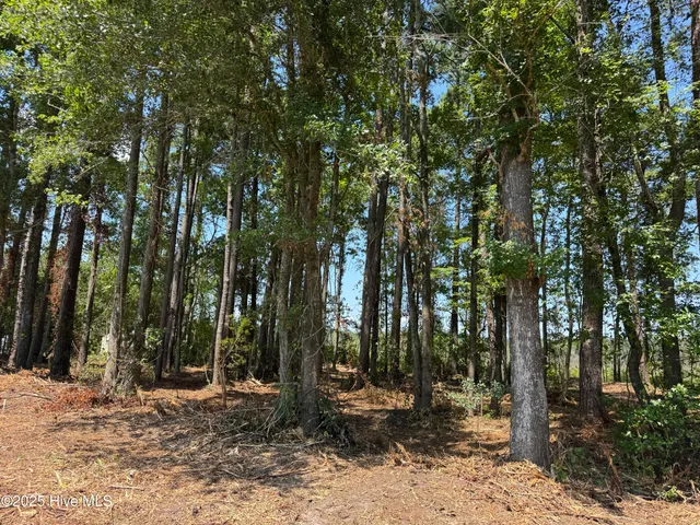 $19,900 | 4102 Swamp Fox Highway West, Tabor City, NC 28463